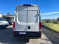 Iveco Daily Bianco - thumbnail 4