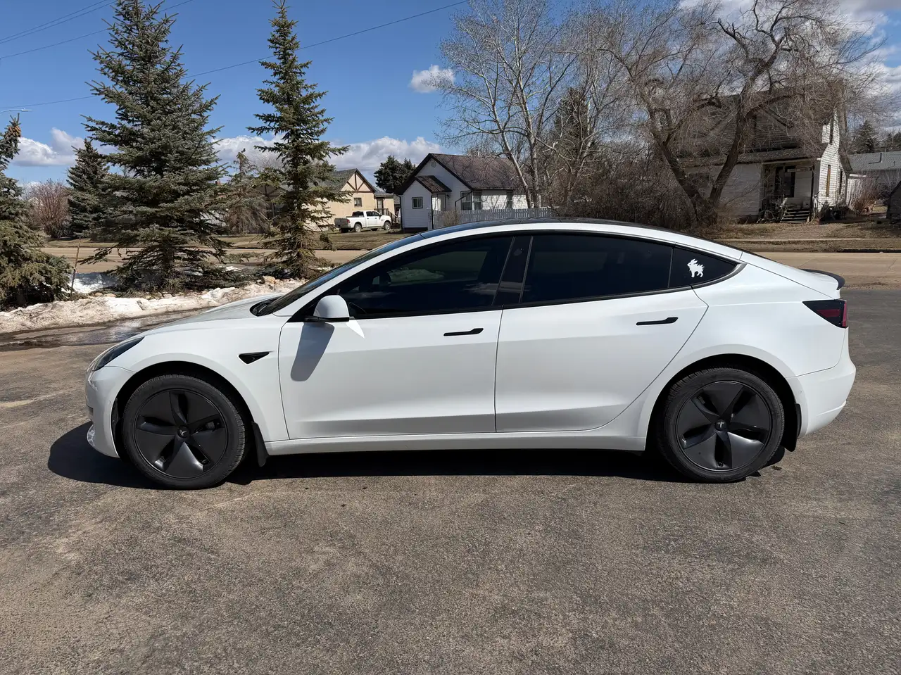 Tesla Model 3 photo Tesla Model 3