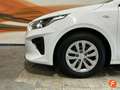 Kia Ceed / cee'd 1.6 CRDI Launch Edition 115 Blanco - thumbnail 22