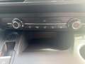 Toyota Proace City L2 1,5 D 96 KW (130 PS)+NAVI+PDC Grigio - thumbnail 14