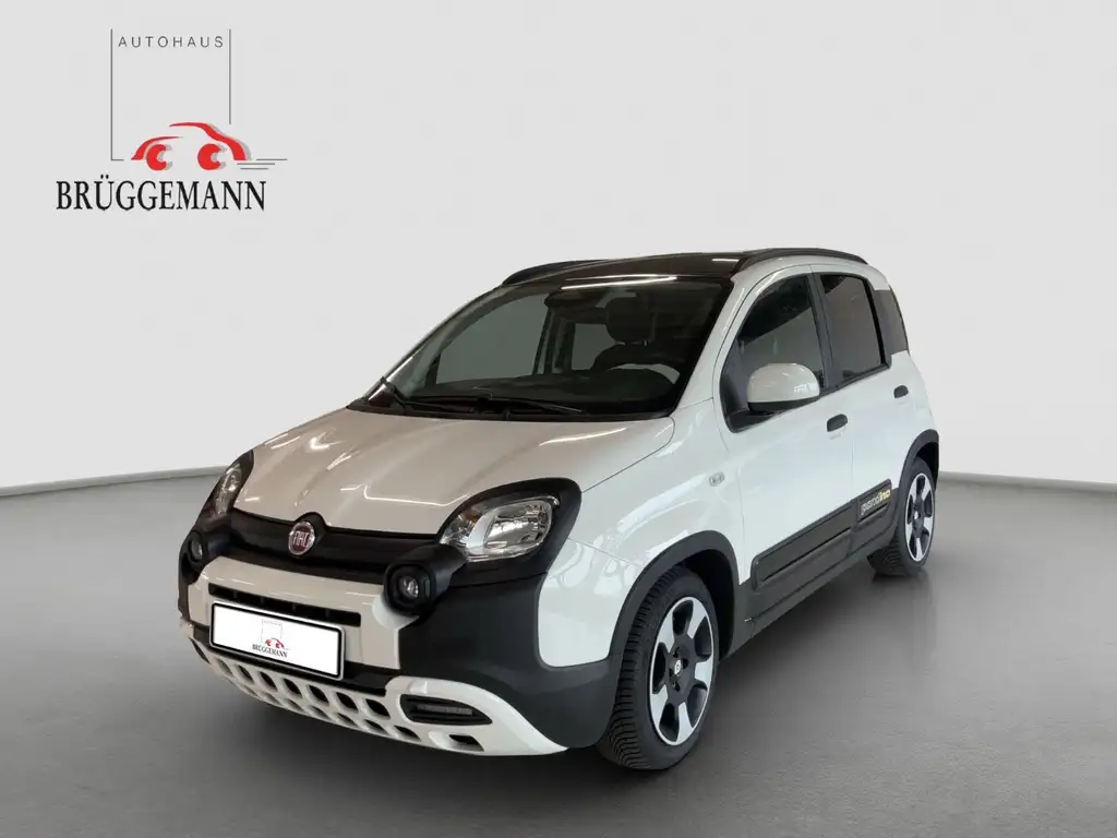 Fiat Panda 2025 из Европы — купить под ключ