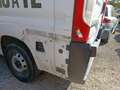 Fiat Ducato 2.2 Multijet3 160cv Wit - thumbnail 8