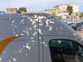 Fiat Ducato 2.2 Multijet3 160cv Wit - thumbnail 9
