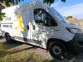 Fiat Ducato 2.2 Multijet3 160cv Wit - thumbnail 6