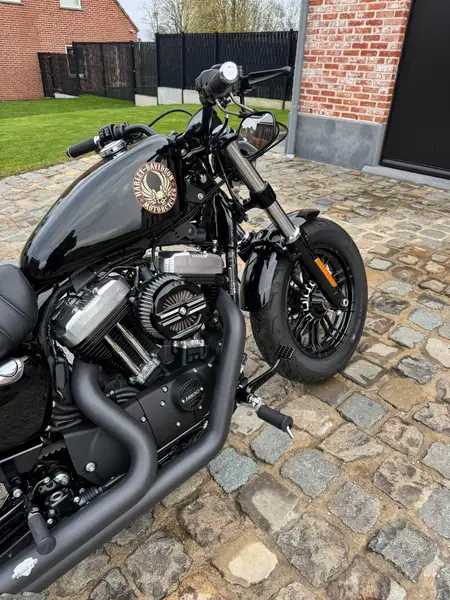 Harley-Davidson Sportster Forty Eight - foto 5
