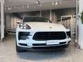 Porsche Macan 2.0 245cv pdk-PASM-SCARICO SPORTIVO-UFFICIALE! Blanco - thumbnail 3