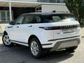 Land Rover Range Rover Evoque // LEDER// NAVI// PDC// Blanc - thumbnail 6