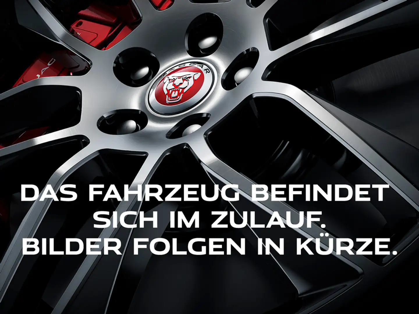 Jaguar F-Pace P250 AWD R-Dynamic HSE Grau - 1