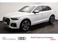 Audi SQ5 3.0 TDI Tiptronic quattro AHK/Tempo/Rückkam Weiß - thumbnail 1