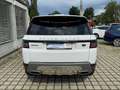 Land Rover Range Rover Sport S*Pano*MatrixLED*Meridian*21* Bianco - thumbnail 5