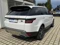 Land Rover Range Rover Sport S*Pano*MatrixLED*Meridian*21* Bianco - thumbnail 4