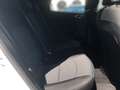 Kia XCeed 1.0 T-GDi Edition 7 *Emotion-Paket*AHK Blanc - thumbnail 13