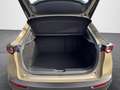 Mazda CX-30 2.5L e-SKYACTIV G 140ps Nagisa Grün - thumbnail 15