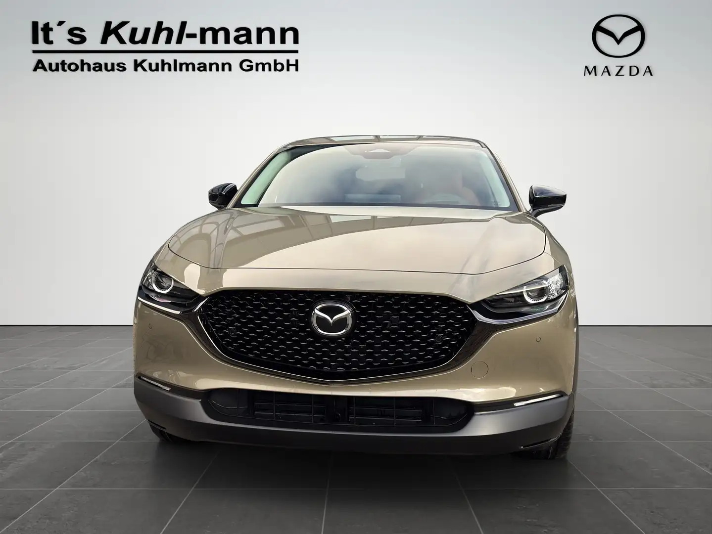 Mazda CX-30 2.5L e-SKYACTIV G 140ps Nagisa Grün - 2