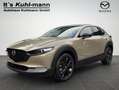 Mazda CX-30 2.5L e-SKYACTIV G 140ps Nagisa Grün - thumbnail 1