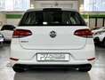 Volkswagen Golf Golf 5p 1.6 tdi Trendline 115cv Bianco - thumbnail 6