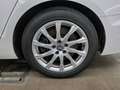 Audi A4 45 2.0 TFSI qu. Avant Navi+ LED Sportsitze Wit - thumbnail 10