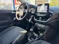 Ford Fiesta 5p 1.1 Titanium 85cv Grigio - thumbnail 8