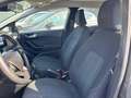 Ford Fiesta 5p 1.1 Titanium 85cv Grigio - thumbnail 12
