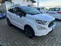 Ford EcoSport EcoSport 1.0 ecoboost ST-Line s Wit - thumbnail 3