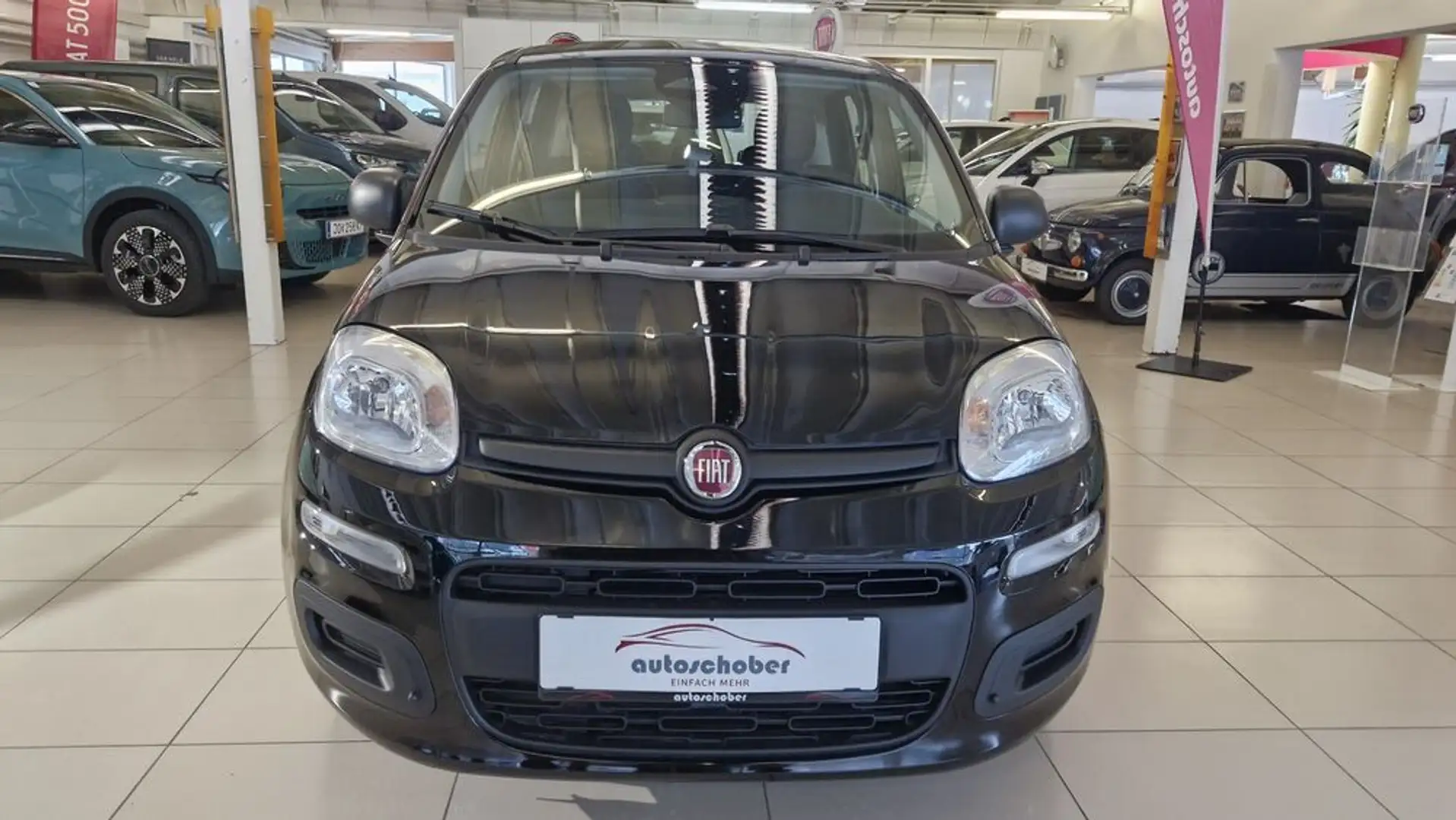 Fiat Panda Pandina Icon Schwarz - 2