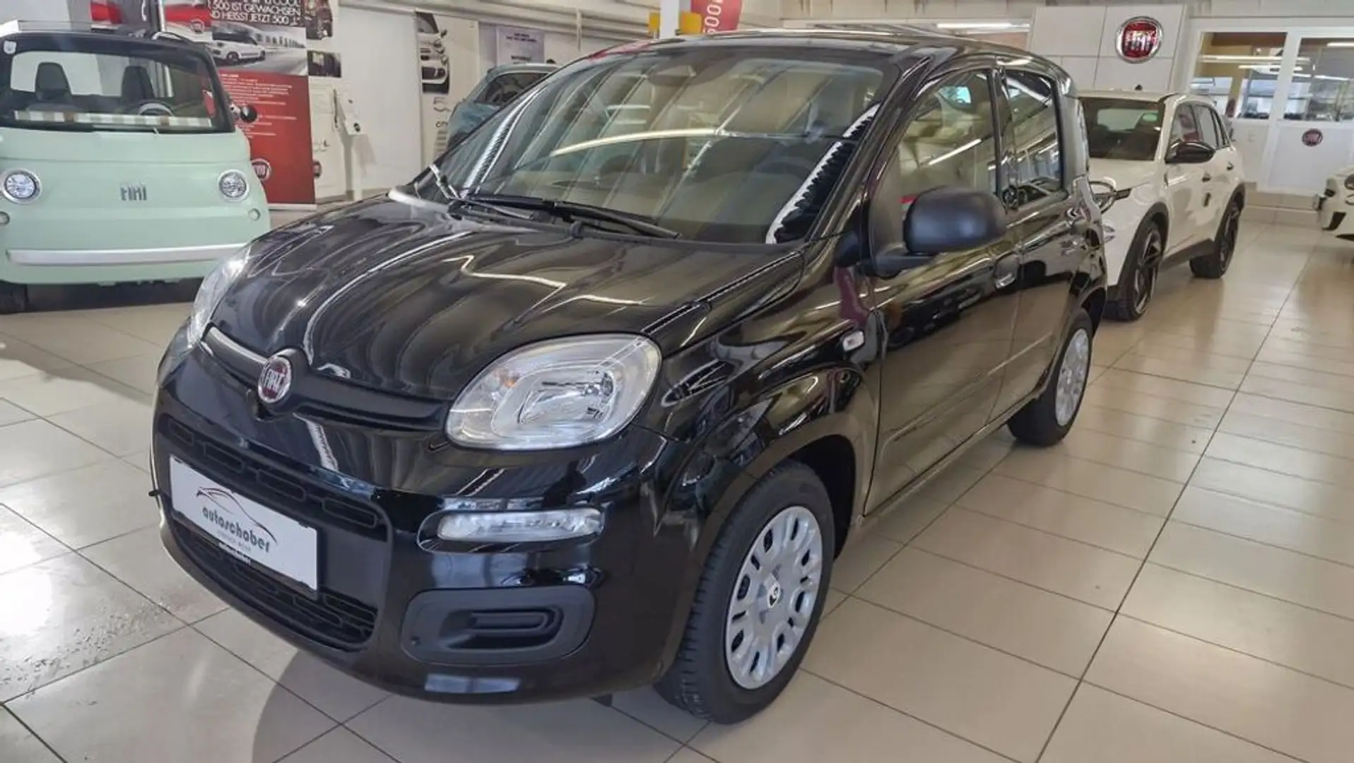 Fiat Panda Pandina Icon Schwarz - 1