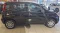 Fiat Panda Pandina Icon Schwarz - thumbnail 4