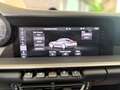 Porsche 992 Carrera S450 CV  Porsche Approved IVA ESPOSTA Grau - thumbnail 26