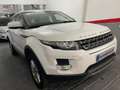 Land Rover Range Rover Evoque 2.2L eD4 Dynamic 4x2 Blanco - thumbnail 6