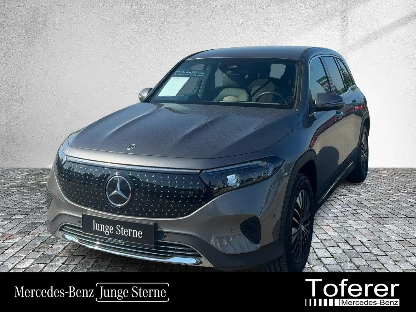 Mercedes-Benz EQB 250 + Österreich-Edition KeyGo PTS Shz LED Grau - 1