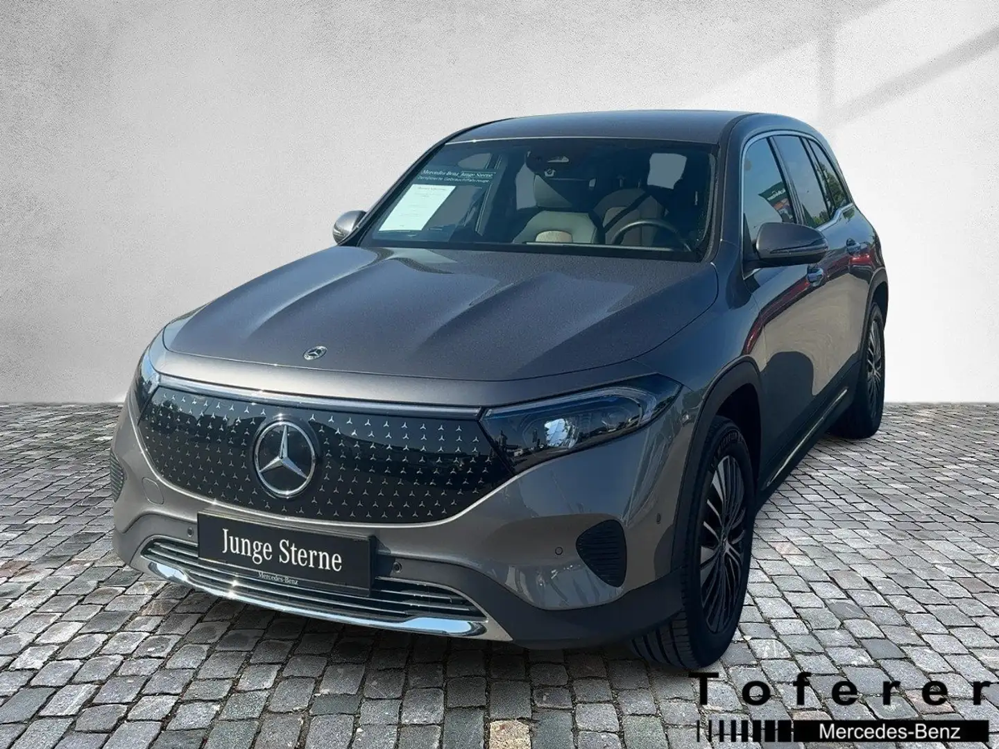Mercedes-Benz EQB 250 + Österreich-Edition KeyGo PTS Shz LED Grau - 2