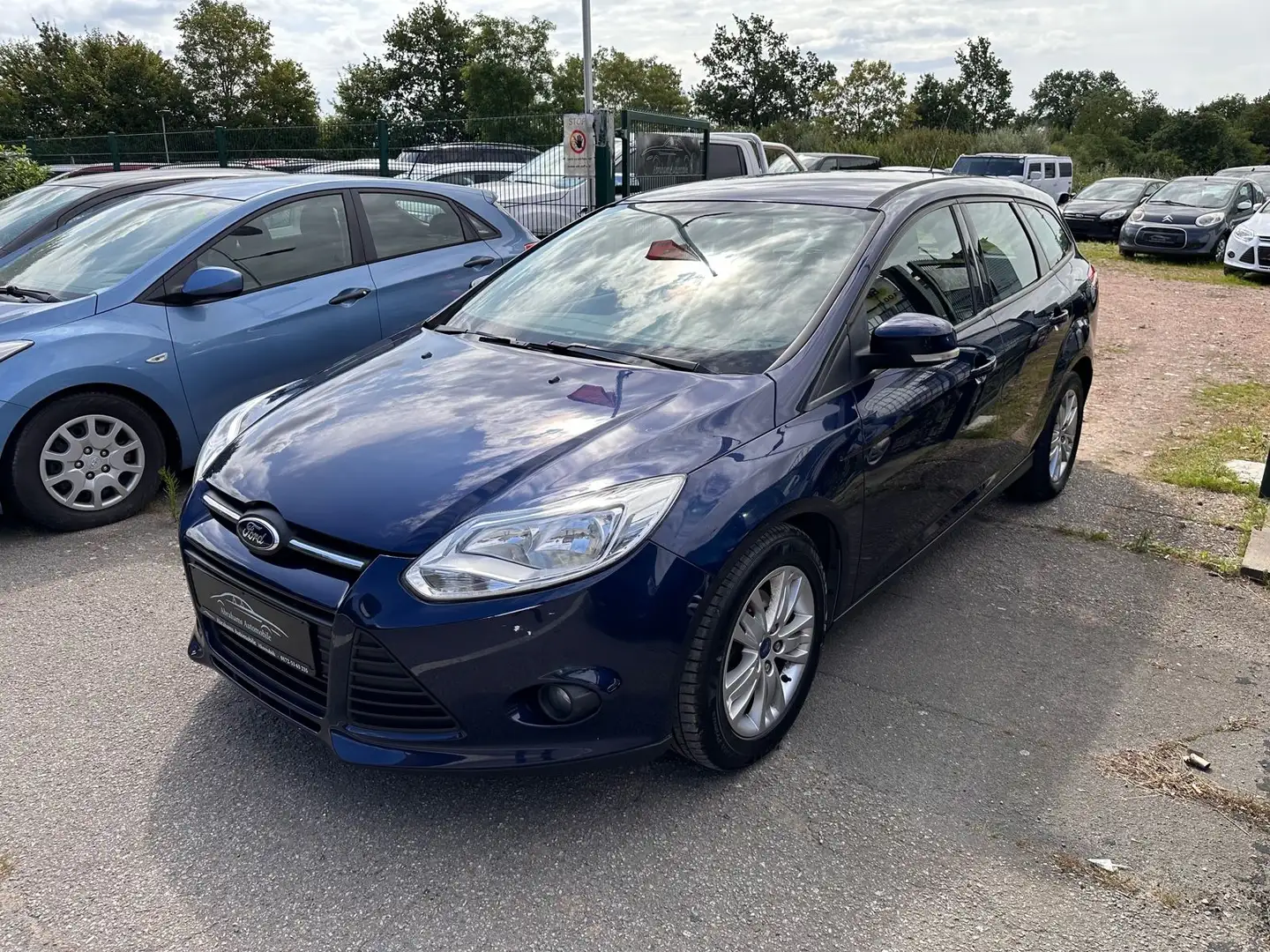 Ford Focus Turni Zahnriemensatz/TÜV/Service NEU Blau - 1