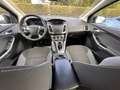 Ford Focus Turni Zahnriemensatz/TÜV/Service NEU Blau - thumbnail 8