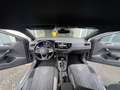 Volkswagen Taigo Taigo 1.5 TSI/DSG/R-Line/IQDrive-Light/RFK,18"/TOP - thumbnail 11