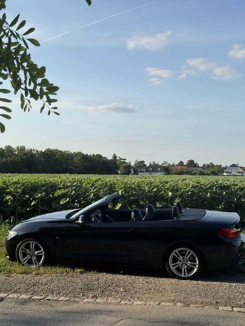 BMW 430 430d Cabrio Österreich-Paket Aut. - 2