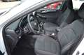 Ford Kuga Cool&Connect*Winter-P.*PDC*NAVI*AHK-Vorb.* Weiß - thumbnail 16