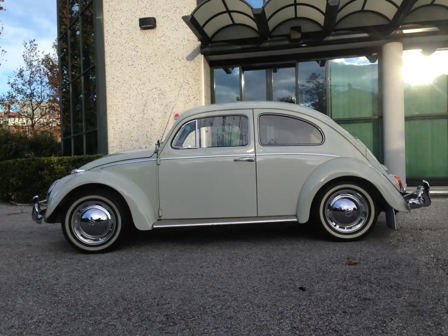 Volkswagen Maggiolino 6 volts - 1