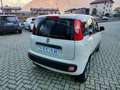 Fiat Panda 4X4 1.3 MJT  * OK NEOPATENTATI * Bianco - thumbnail 3
