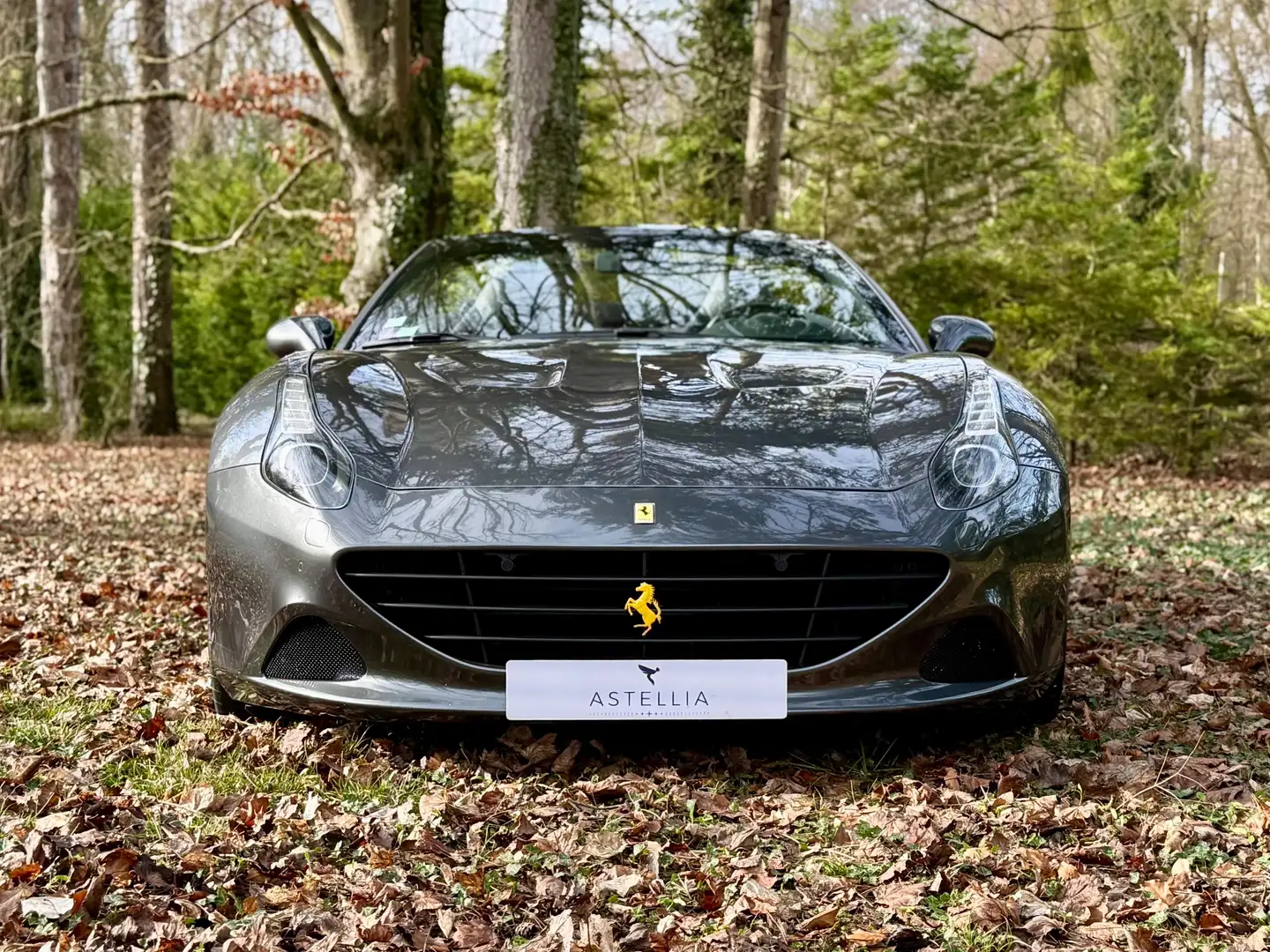 Ferrari California California T V8 4.0 560ch Grau - 2