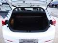 Hyundai i20 Sport/OZ-Felgen/Navi/Kamera/SitzH/ Weiß - thumbnail 13