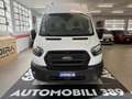 Ford Transit 2.0 Ecoblue 170cv L3 H2 IVA COMPRESA Blanc - thumbnail 6