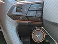 CUPRA Formentor 2.0 TDI PANO*MATRIX*SENNH.*DINAM*360 Schwarz - thumbnail 19