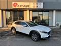 Mazda CX-30 CX-30 2.0 m-hybrid Executive 2wd 122cv 6mt Blanc - thumbnail 1