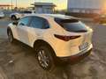 Mazda CX-30 CX-30 2.0 m-hybrid Executive 2wd 122cv 6mt Blanc - thumbnail 6