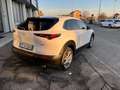 Mazda CX-30 CX-30 2.0 m-hybrid Executive 2wd 122cv 6mt Blanc - thumbnail 8