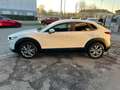 Mazda CX-30 CX-30 2.0 m-hybrid Executive 2wd 122cv 6mt Blanc - thumbnail 5