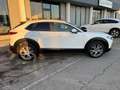 Mazda CX-30 CX-30 2.0 m-hybrid Executive 2wd 122cv 6mt Blanc - thumbnail 9