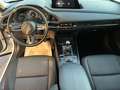 Mazda CX-30 CX-30 2.0 m-hybrid Executive 2wd 122cv 6mt Blanc - thumbnail 15