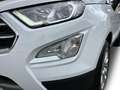 Ford EcoSport 1.0 Titanium LED*KAMERA*SITZH*TOTW*DAB Blanco - thumbnail 18