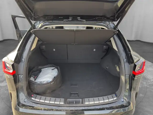 Lexus NX 450h+ Executive Line Plug-In Hybrid 309 PS Allrad Ansicht 5